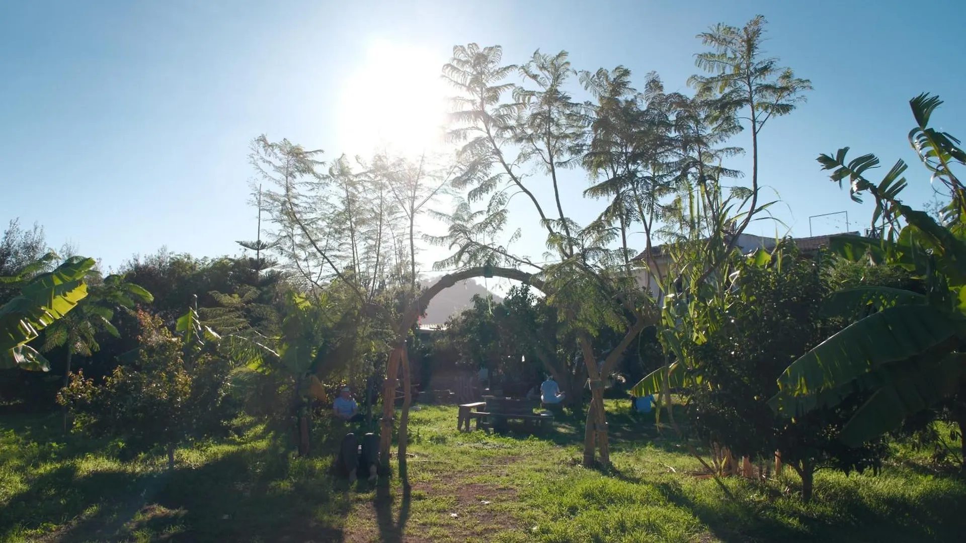 Homestay Vuelve Al Origen - Nomadas Digitales