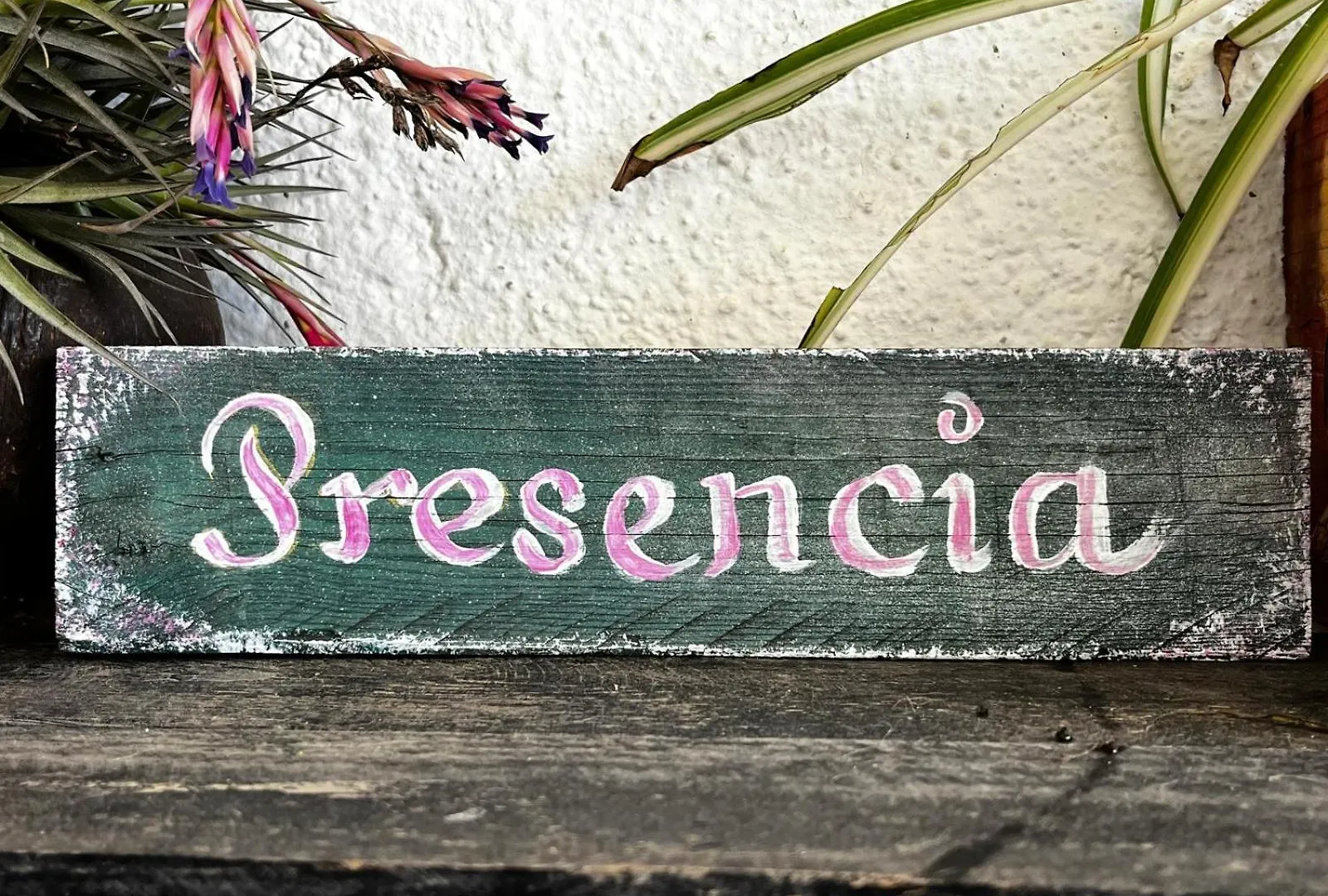 Vuelve Al Origen - Nomadas Digitales Spain